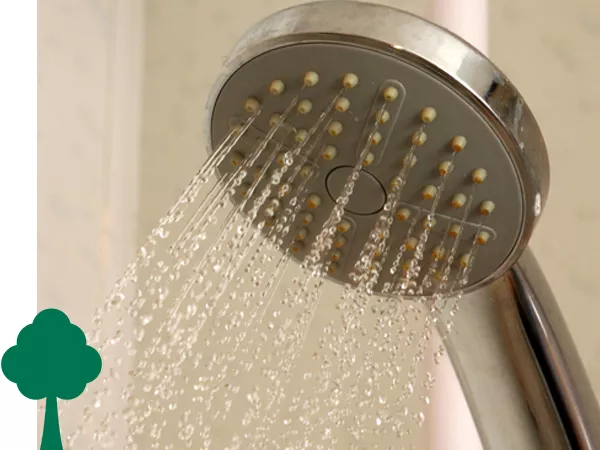 A shower head