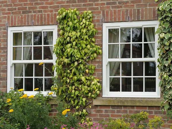 White sliding sash windows