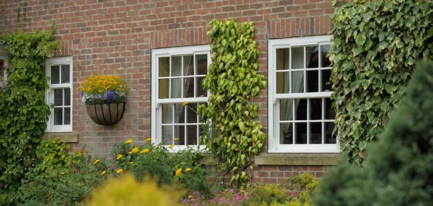 timber windows